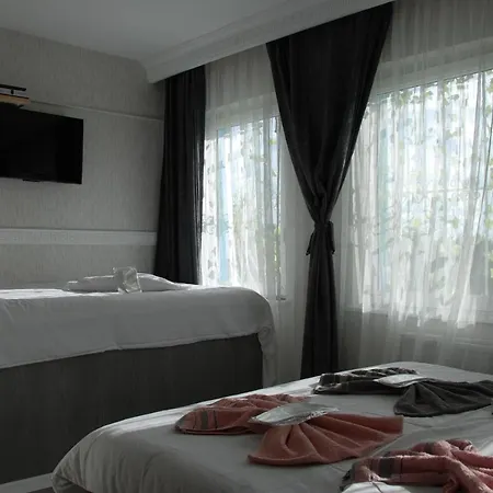فندق Antik Sofia 3*
